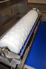 Used Rademaker Sheeting System For Chips, 1000mm Wide, Serial# 7193, Built 2008. Consisting of: (1) 10