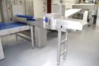 Used Rademaker Sheeting System For Chips, 1000mm Wide, Serial# 7193, Built 2008. Consisting of: (1) 10