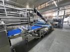 Rondo Industrial Bakery Sheeting Line