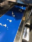 Used Anko SD 97W Automatic Encrusting and Forming Machine