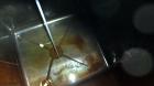 Used Carbon Steel Clawson Tank Company Liquid Tote
