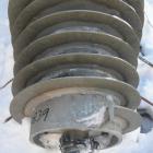 Used Bird 24