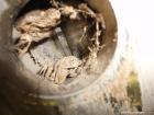Used Alfa Laval AVNX-716B-31G Solid Bowl Decanter Centrifuge