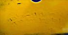 Used Alfa Laval/Sharples DSNX-4250(PM-36000) Super-D-Canter Centrifuge
