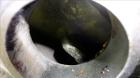 Used Stainless Steel Alfa Laval Decanter Centrifuge