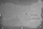 Used Bird 24