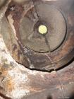 Used Stainless Steel Sharples Super-D-Canter Centrifuge