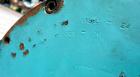 Used Sharples P-3400 Tricanter Centrifuge