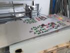 Used Pellegrini Coating Pan, Model T300
