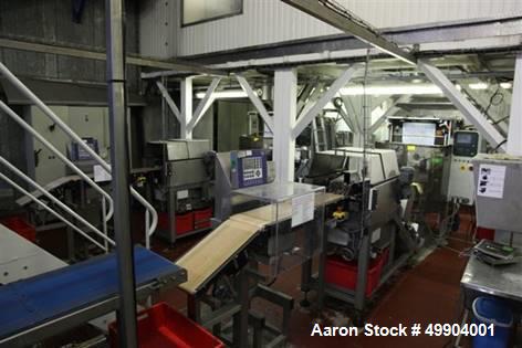 Used French Fry Line, 20,000 Pound Per Hour Capacity.