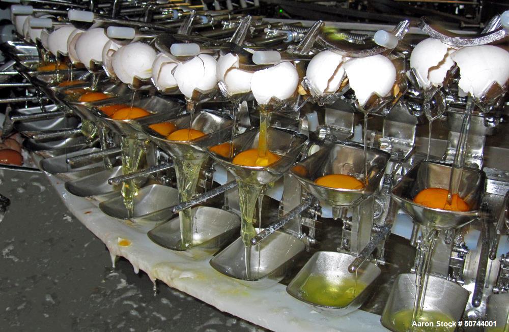 Used Sanovo Egg-Breaking and Separation Line