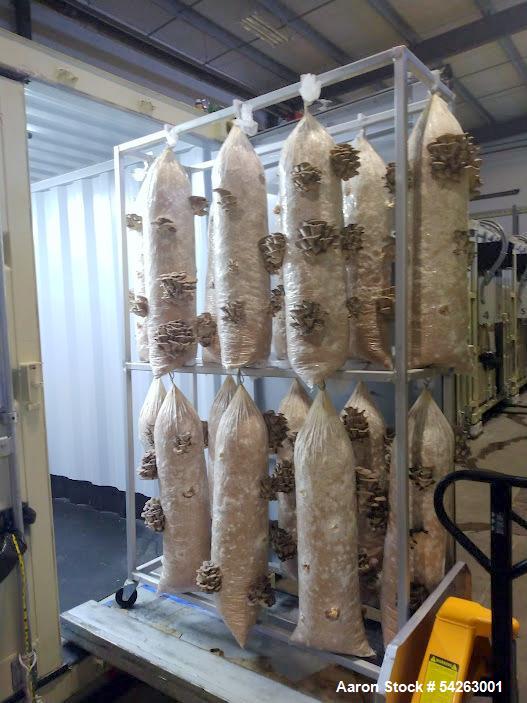 Used Semi-Automated Mushroom Substrate Processing System for Sale