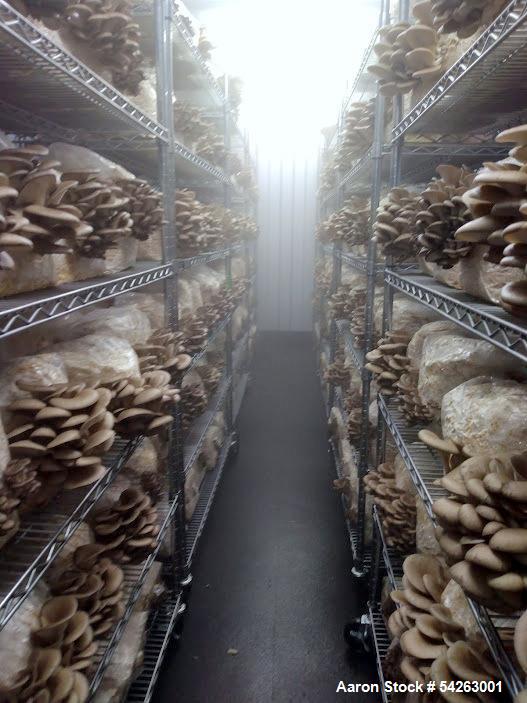 Used Semi-Automated Mushroom Substrate Processing System for Sale