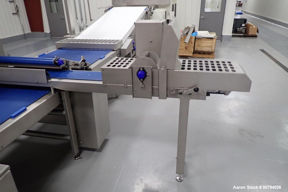 Used Rademaker Sheeting System