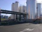 Used Biodiesel Production Plant, built by Lurgi GmbH, capacity: biodiesel 100,000 metric tons annually, glycerin 12,000 metric tons annually, fatty acid 640 metric tons annually.  Input is rapeseed o...