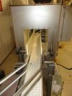 Used Pickle Processing and Packaging Line.