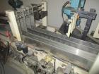 Used Pickle Processing and Packaging Line.