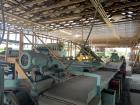 Used Complete Packing Line for Fresh Bell Peppers