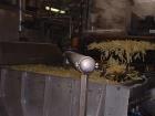 Used French Fry Line, 20,000 Pound Per Hour Capacity.