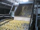 Used French Fry Line, 20,000 Pound Per Hour Capacity.