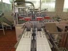 Used Sanovo Egg-Breaking and Separation Line
