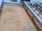 Used-Incus 4,000 lb/hr Quinoa Wash and Drying Process Line