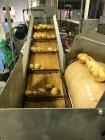 Used Potato Chip Line