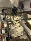 Used Potato Chip Line
