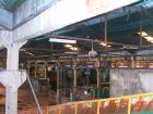 USED: Paper board plant, 50 tons/day (24 hours). Product width 70