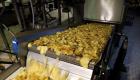 Potato Chips Line with capacity 600 kg/hour