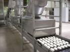 Used Mecatherm Baguette Line, output capacity 24,000 baguettes.Comprised of: (2) Mecatherm 2500 baguette lines dough divider, master roll, partial device for rolls, metal sheets transportation.(1) Cu...