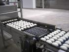 Used Mecatherm Baguette Line, output capacity 24,000 baguettes.Comprised of: (2) Mecatherm 2500 baguette lines dough divider, master roll, partial device for rolls, metal sheets transportation.(1) Cu...