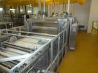 Used Complete Mecatherm Plant for Bread Making