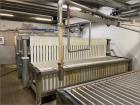 Used Dybvad Vertical Block Freezing Line