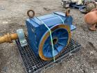 Used Wirtz Mfg Co. Belt Conveyor, Model Paste Conveyor. Approximate 310