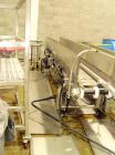 Used-Deoiler Conveyor