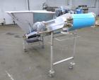 Used Stainless Steel Phenix Equipment Co. Belt Conveyor