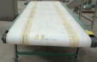 Used- Belt Conveyor, Carbon Steel. 48