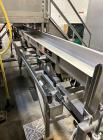 Eriez HI-VI 14' Long Vibratory Conveyor