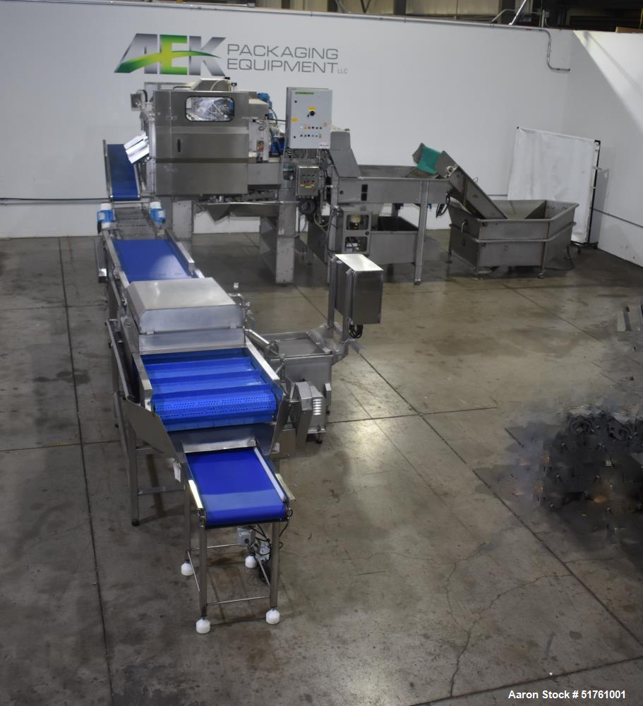 Used ABL Apple Peeling, Corer and Washing Line