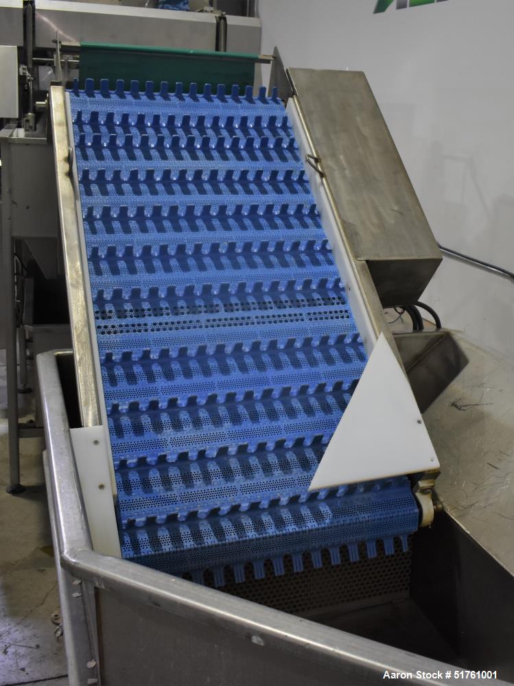 Used ABL Apple Peeling, Corer and Washing Line