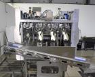 Used ABL Apple Peeling, Corer and Washing Line