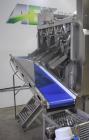 Used ABL Apple Peeling, Corer and Washing Line