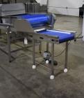 Used ABL Apple Peeling, Corer and Washing Line