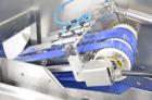 Used Holac SECT 28 CT High Volume Portion Cutter