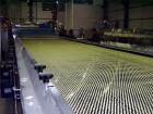 Used Rollomat Hot Melt Production Belt and Rotating Pastillator Applicator Head.  Rated for 500 - 600 kgrs/hour.  Belt is approximately 5' wide x 30' long.  Unit for hot melt glue, resins and rosins....