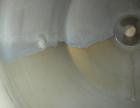 Used Stainless Steel Angelo-Pilotta Double Cone Dryer