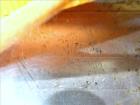 Used Buflovak Single Drum Flaker, 304 Stainless Steel, Approximate Drum Surface