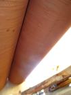 Used Buflovak Double Drum Dryer