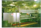 Used Proctor Schwarz Natural Gas Flat Bed Drying System